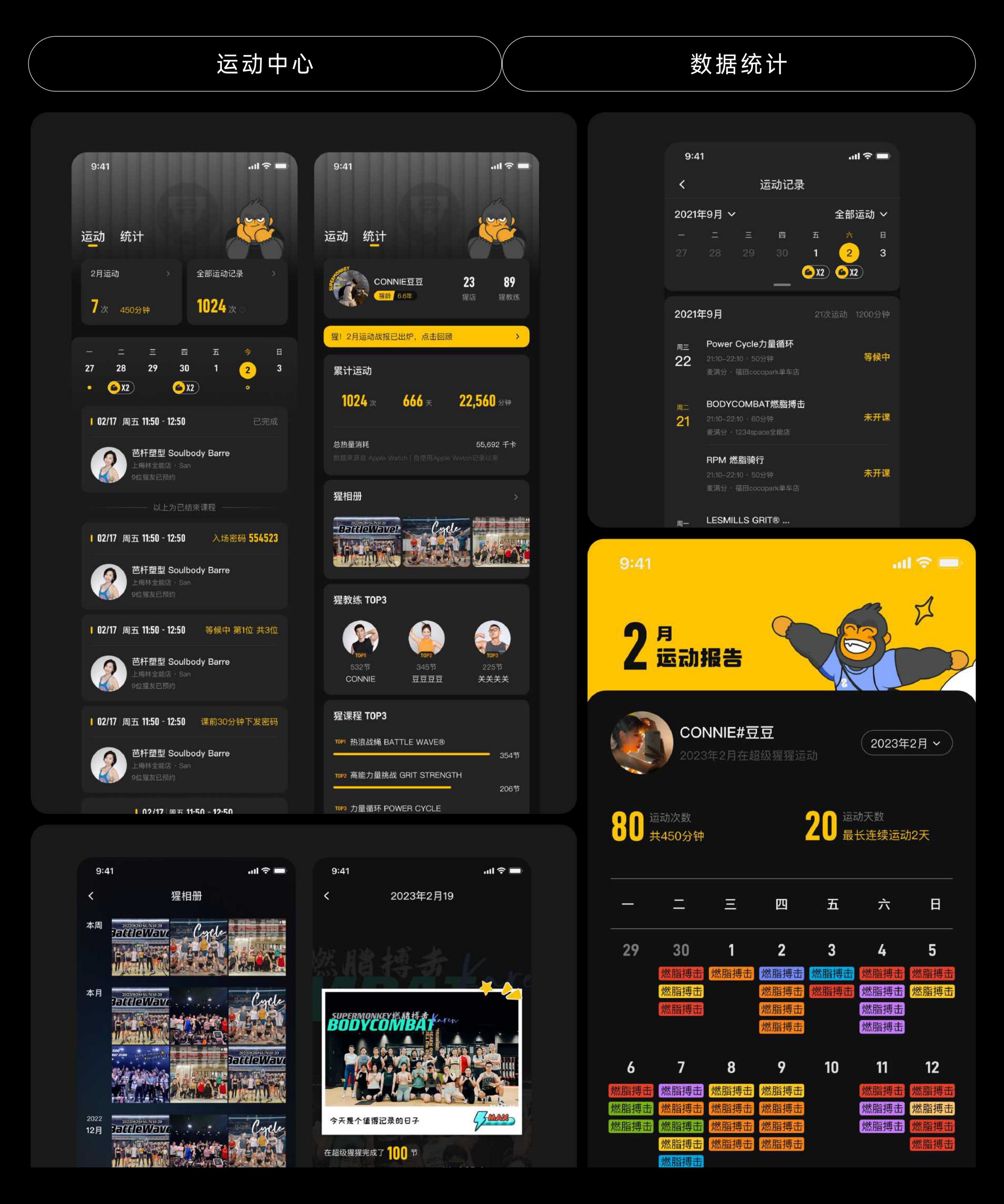 Fitness centre — data overview